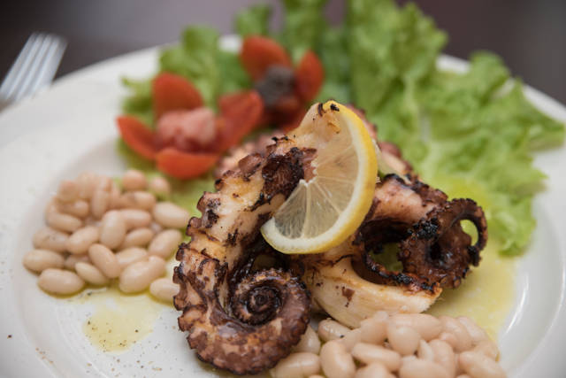 Poulpe Cuit au Vin Rouge sur un Fond Haricots